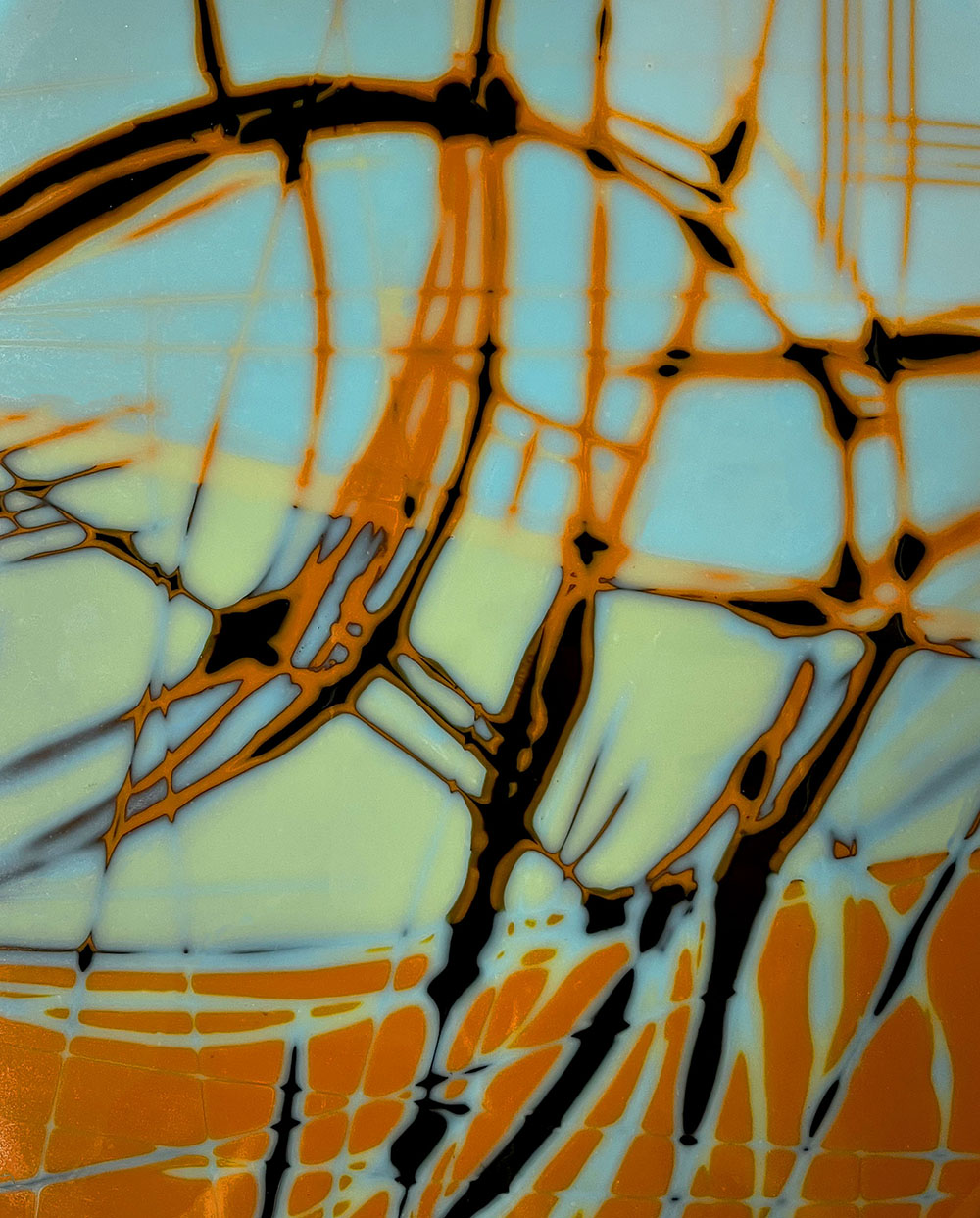 Shaping the Desert Shaping the Desert